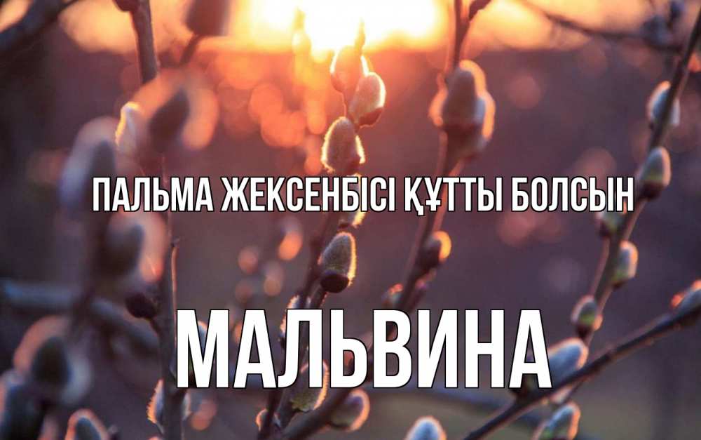 Картинка Пальма жексенбісі құтты болсын, Мальвина