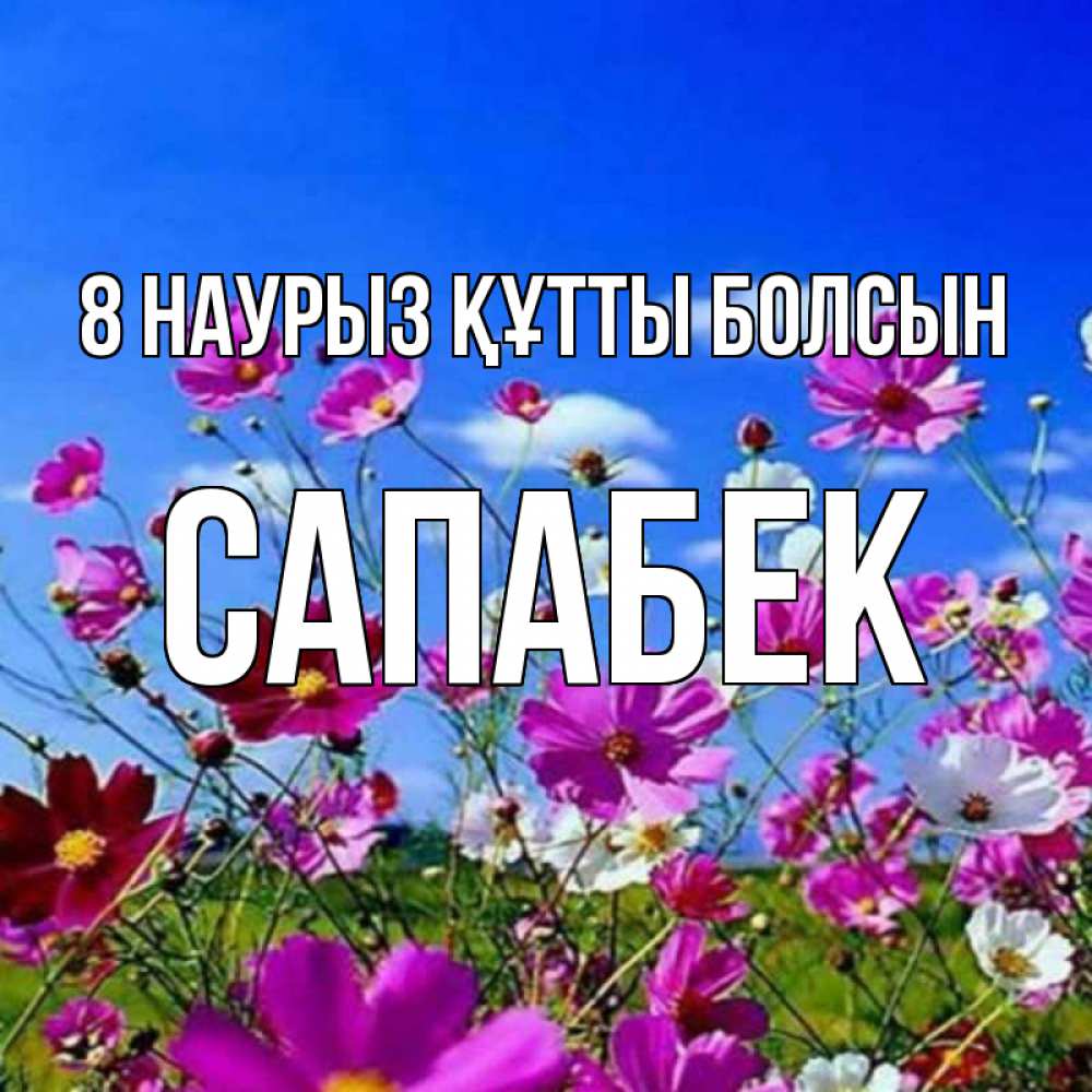 Күн сайын ашық хат с именем, САПАБЕК 8 наурыз құтты болсын цветы Онлайн тегін жүктеп алу тілектері бар керемет карта 