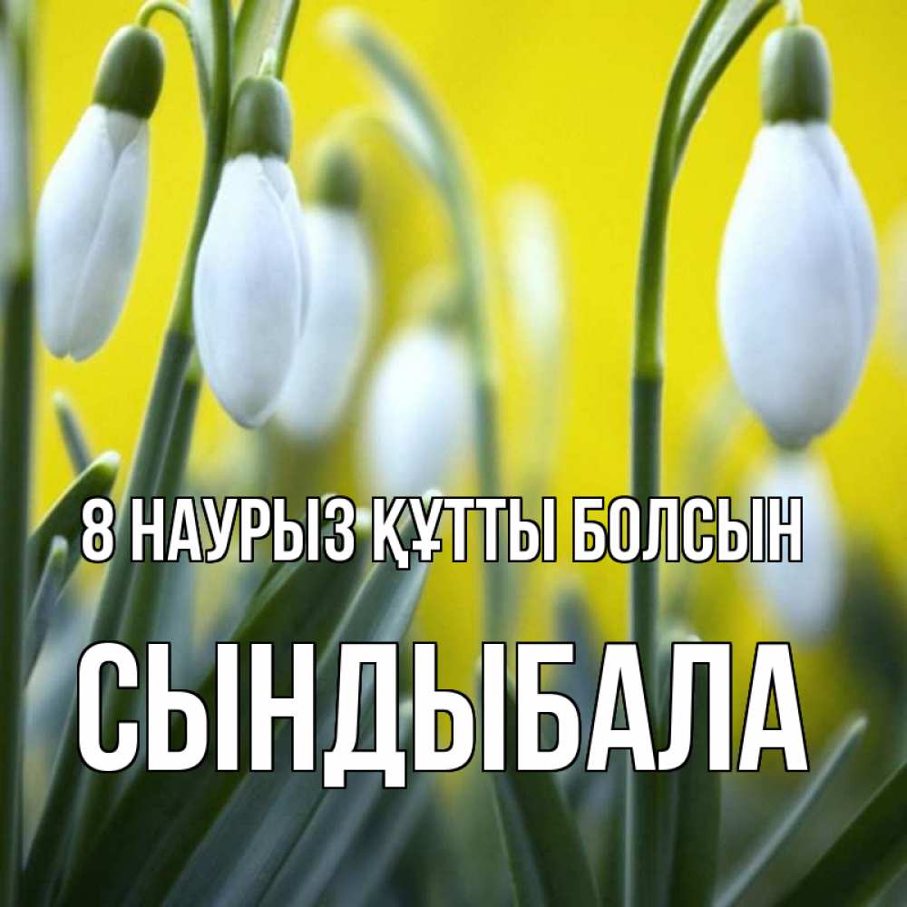 Күн сайын ашық хат с именем, СЫНДЫБАЛА 8 наурыз құтты болсын весенние цветы Онлайн тегін жүктеп алу тілектері бар керемет карта 