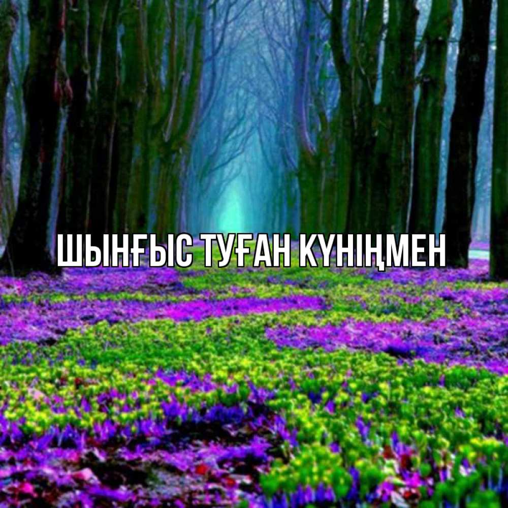 Картинка  с именем , ШЫНҒЫС! ТУҒАН КҮНІҢМЕН!