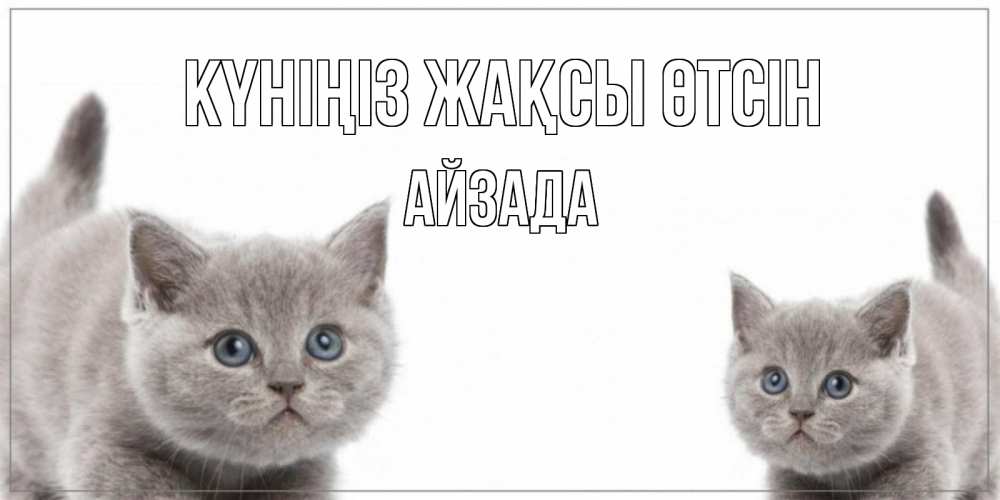 Күн сайын ашық хат с именем, АЙЗАДА Күніңіз жақсы өтсін открытка с котами Онлайн тегін жүктеп алу тілектері бар керемет карта 