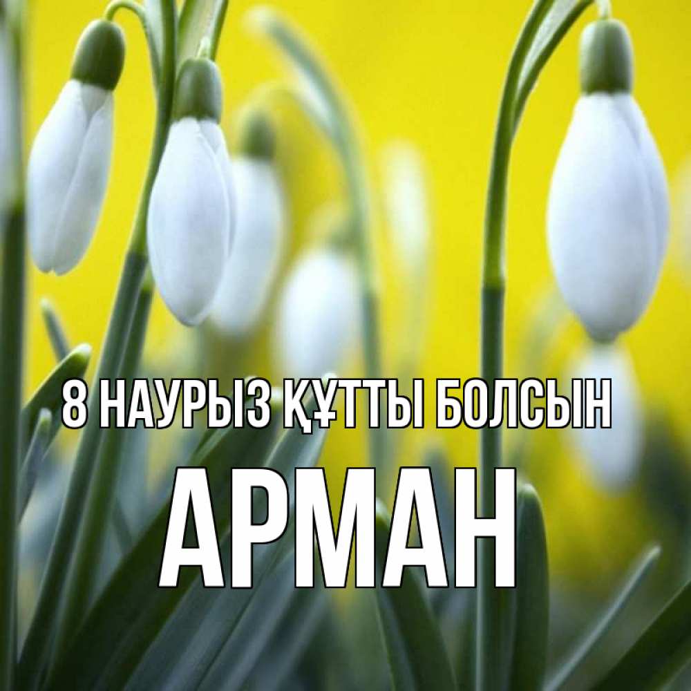 Күн сайын ашық хат с именем, Арман 8 наурыз құтты болсын весенние цветы Онлайн тегін жүктеп алу тілектері бар керемет карта 