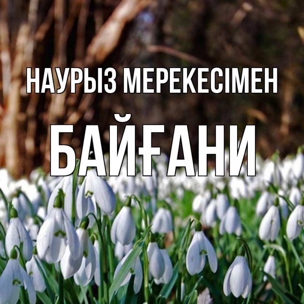 Күн сайын ашық хат с именем, Байғани Наурыз мерекесімен с подснежниками 1 Онлайн тегін жүктеп алу тілектері бар керемет карта 