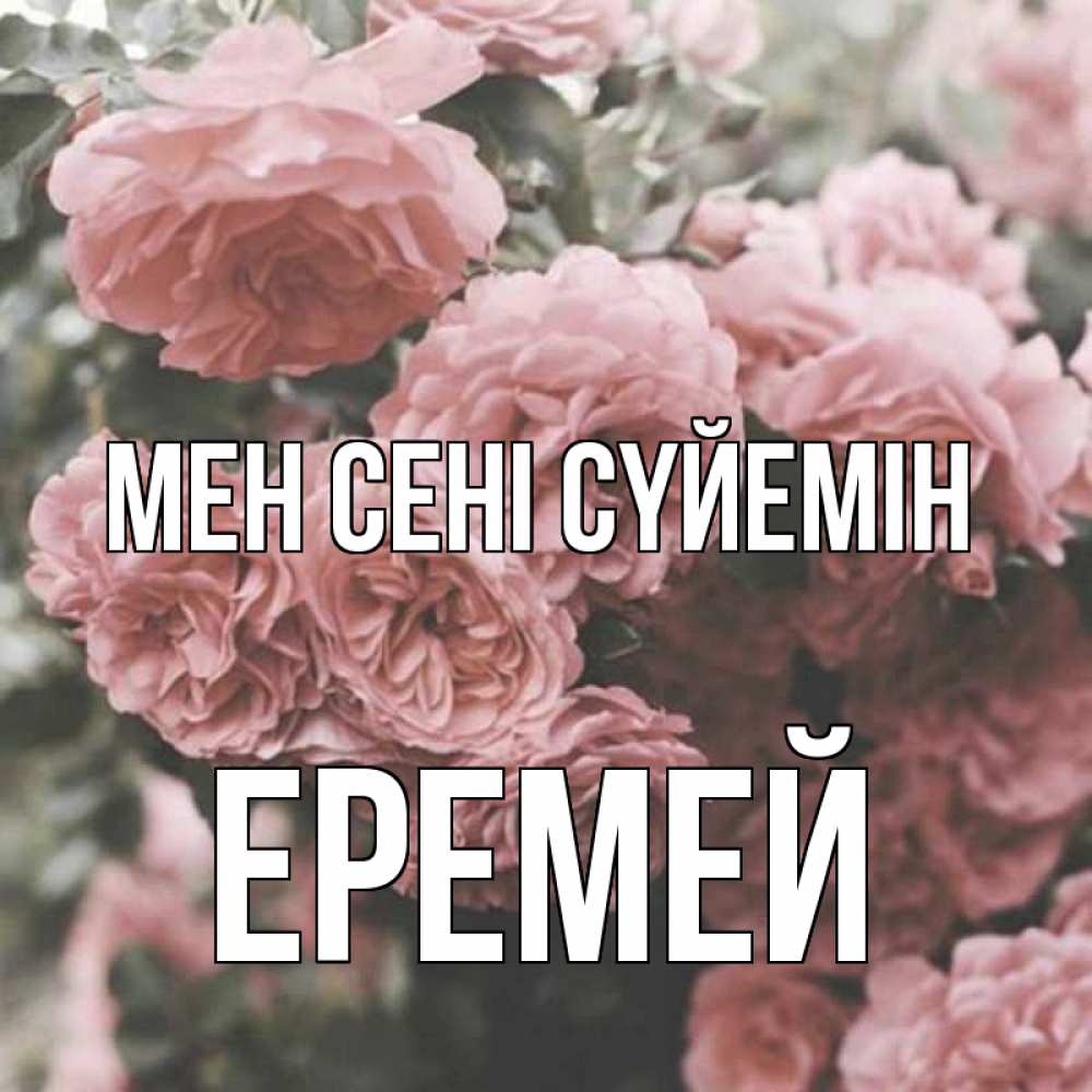 Күн сайын ашық хат с именем, Еремей Мен сені сүйемін розы 3 Онлайн тегін жүктеп алу тілектері бар керемет карта 
