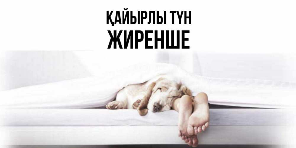 Күн сайын ашық хат с именем, Жиренше Қайырлы түн кровать с собакой пожелание сладких снов и спокойной ночи Онлайн тегін жүктеп алу тілектері бар керемет карта 