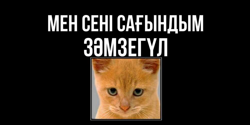 Күн сайын ашық хат с именем, ЗӘМЗЕГҮЛ Мен сені сағындым открытки рыжий котенок скучает по тебе Онлайн тегін жүктеп алу тілектері бар керемет карта 