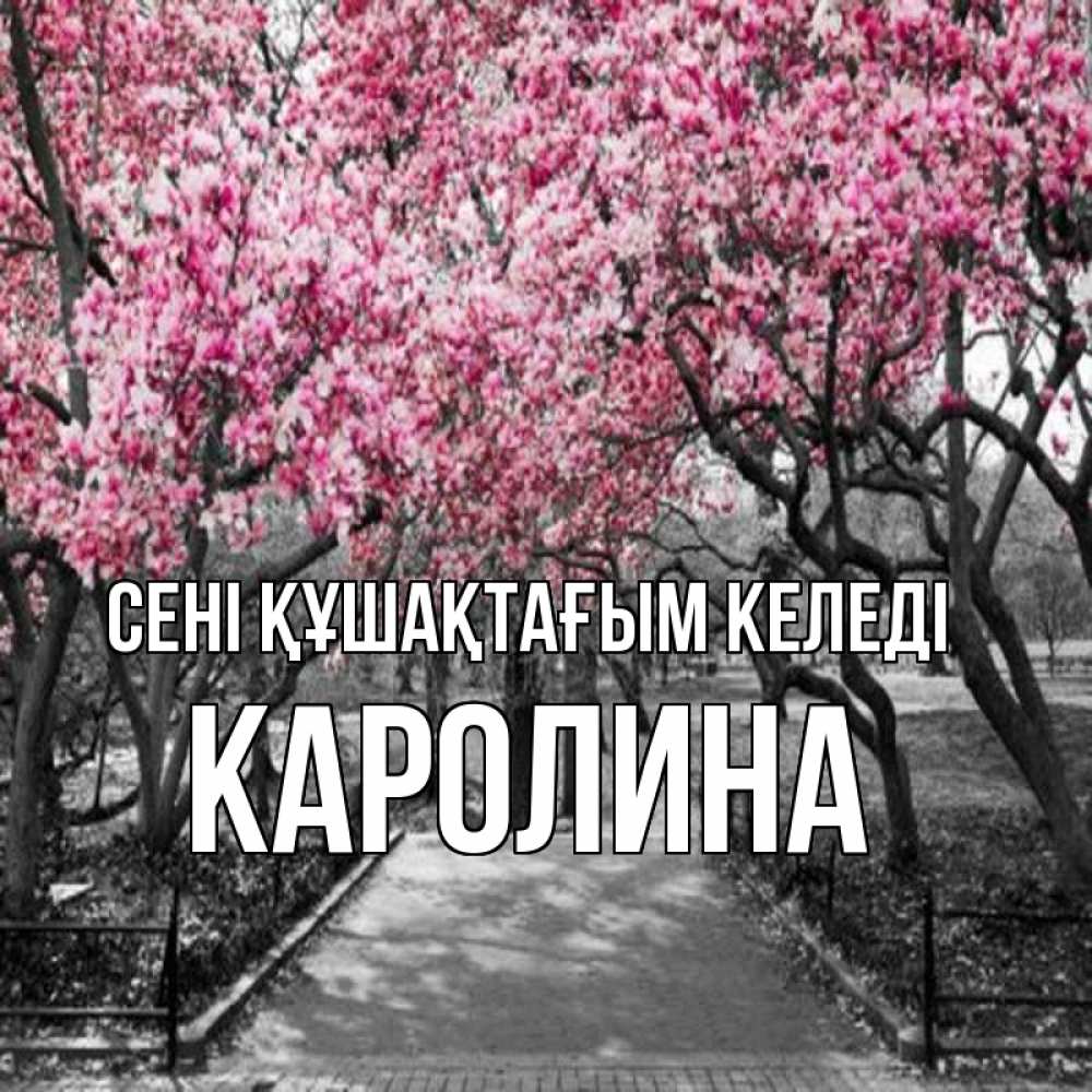 Күн сайын ашық хат с именем, Каролина сені құшақтағым келеді обработанное фото Онлайн тегін жүктеп алу тілектері бар керемет карта 