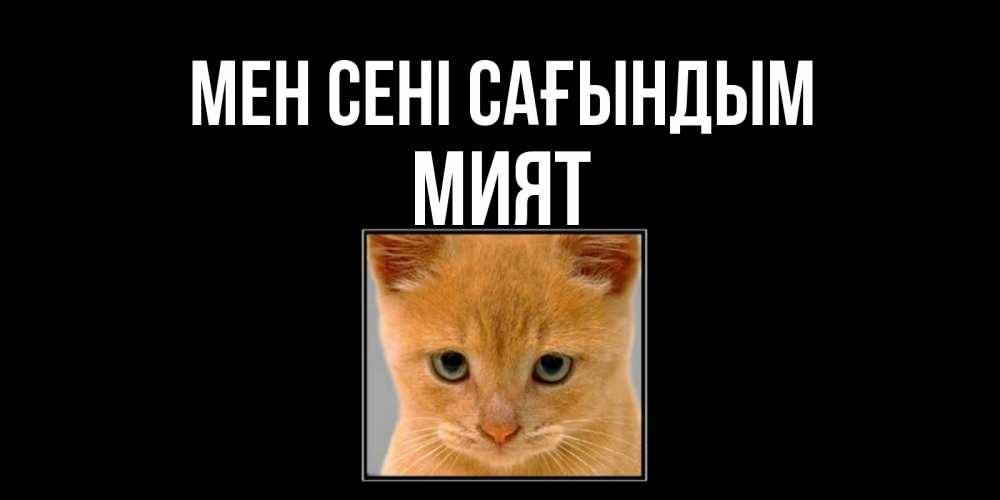 Күн сайын ашық хат с именем, МИЯТ Мен сені сағындым открытки рыжий котенок скучает по тебе Онлайн тегін жүктеп алу тілектері бар керемет карта 