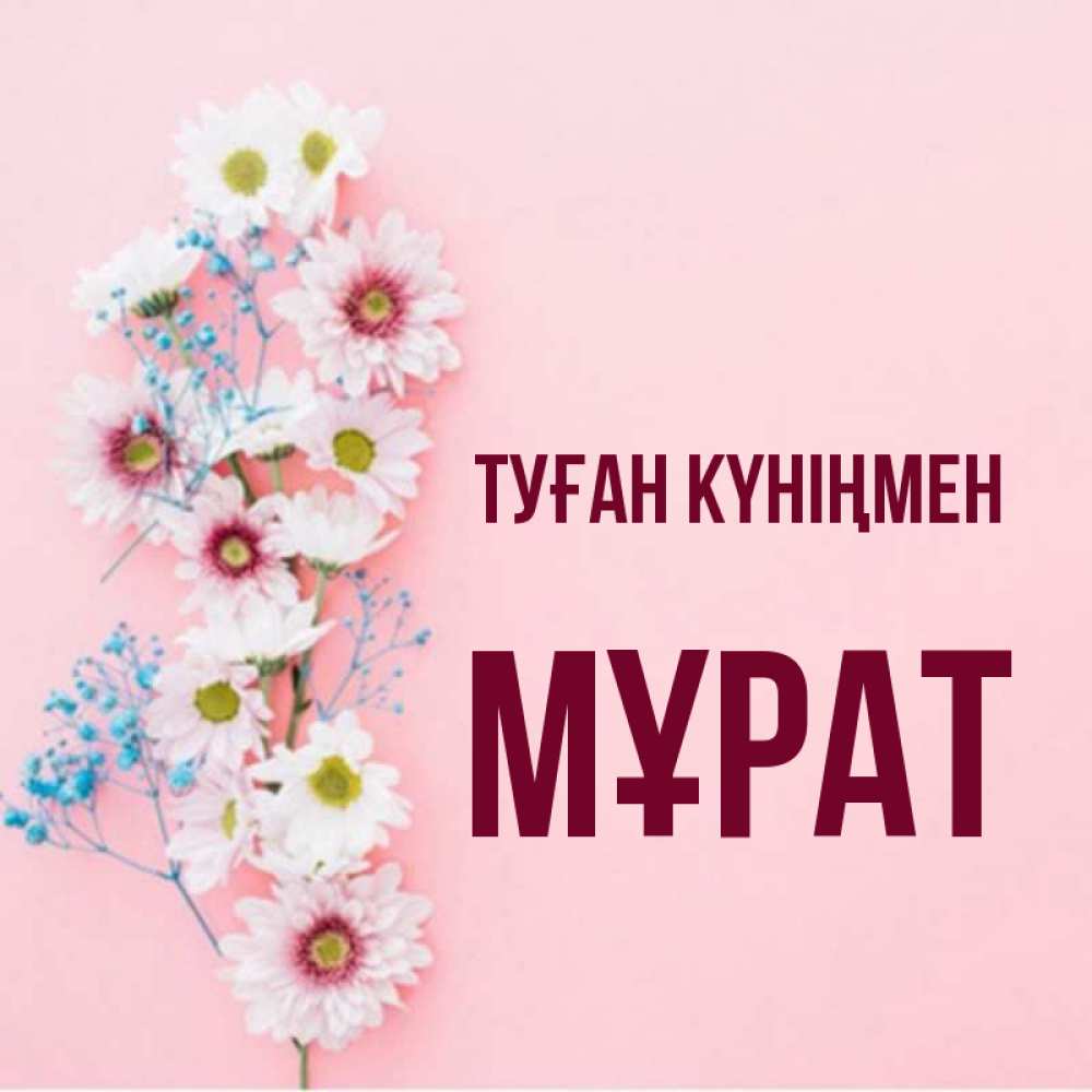 Күн сайын ашық хат с именем, МҰРАТ Туған күніңмен Родная моя с днем рождения тебя картинка с цветами белыми и голубыми Онлайн тегін жүктеп алу тілектері бар керемет карта 