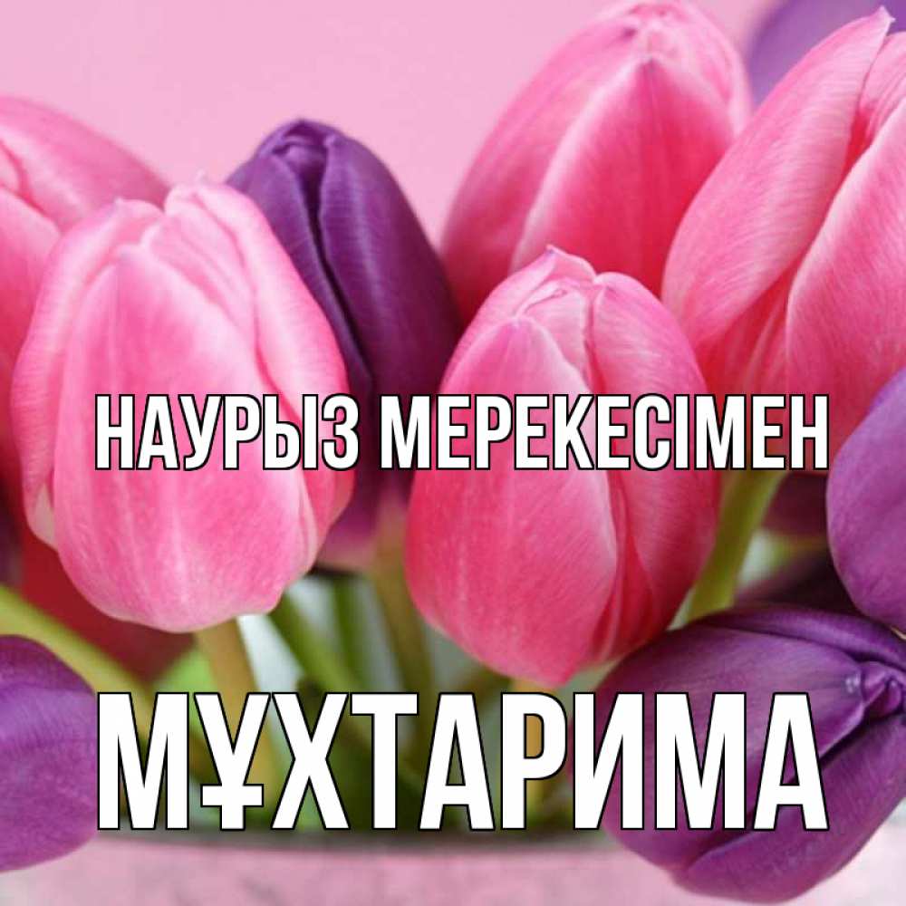 Күн сайын ашық хат с именем, МҰХТАРИМА Наурыз мерекесімен маме 1 Онлайн тегін жүктеп алу тілектері бар керемет карта 