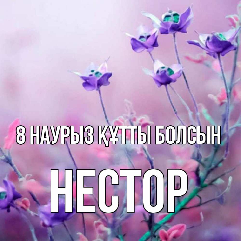 Күн сайын ашық хат с именем, Нестор 8 наурыз құтты болсын международный женский день 2 Онлайн тегін жүктеп алу тілектері бар керемет карта 