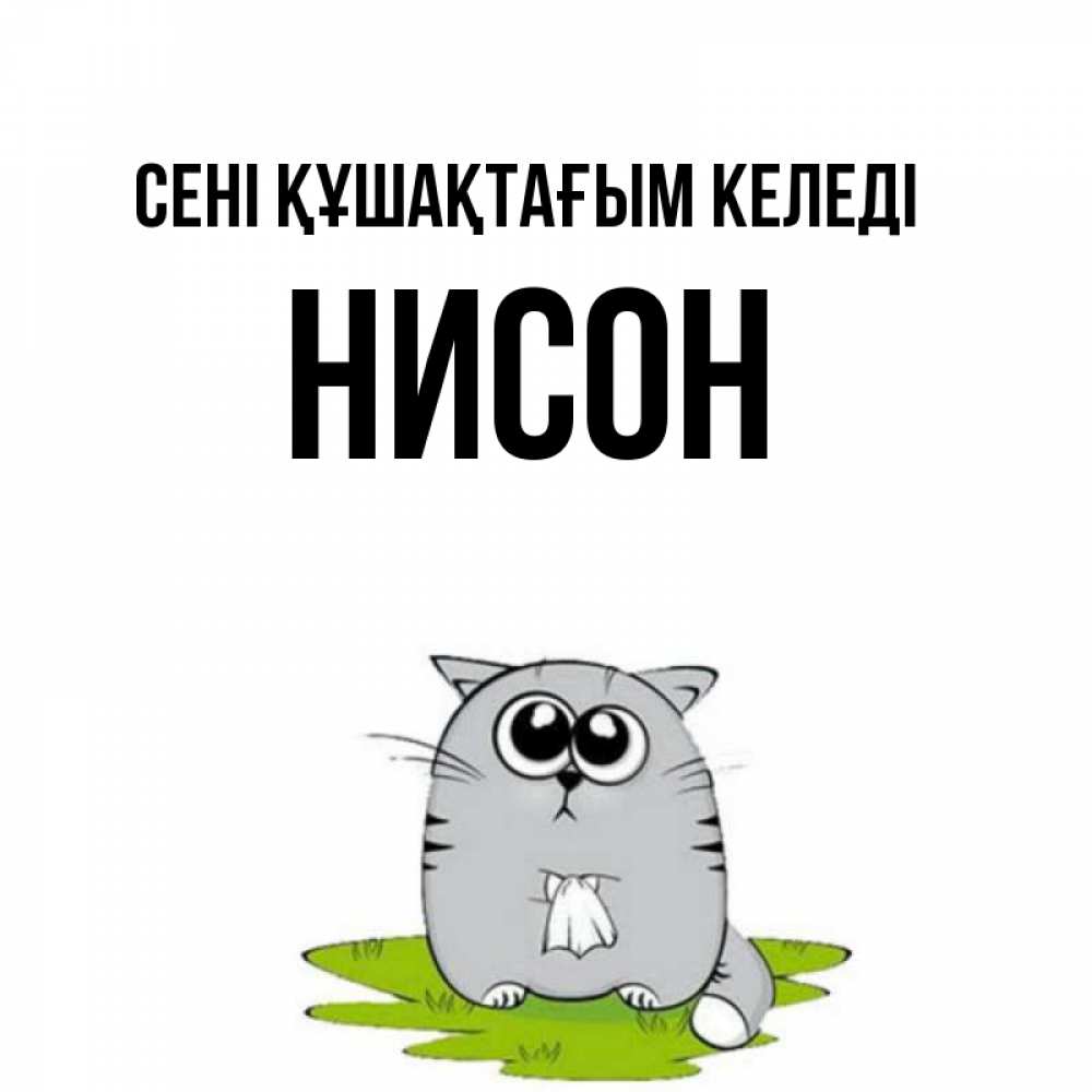 Күн сайын ашық хат с именем, Нисон сені құшақтағым келеді котик теребит платочек сидя на травке Онлайн тегін жүктеп алу тілектері бар керемет карта 
