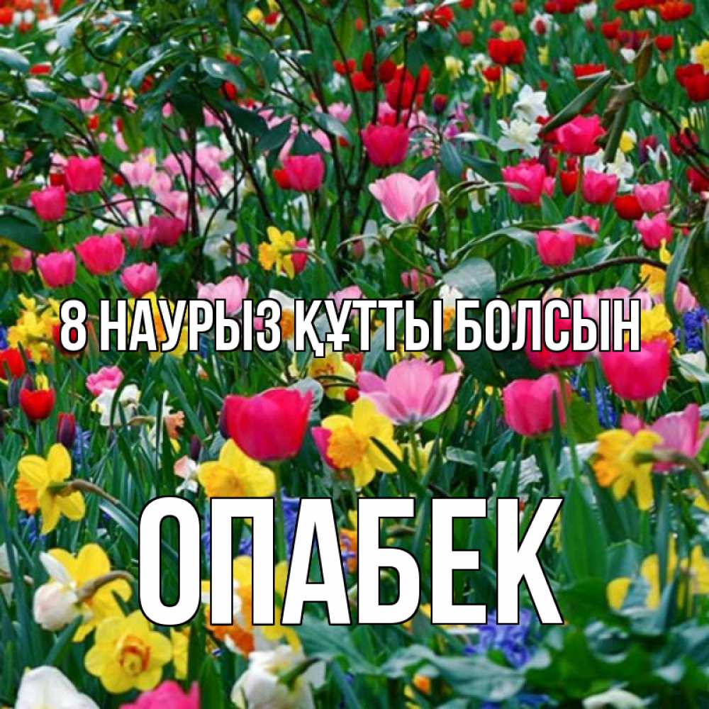 Күн сайын ашық хат с именем, ОПАБЕК 8 наурыз құтты болсын с международным женским днем поздравления для женщины Онлайн тегін жүктеп алу тілектері бар керемет карта 