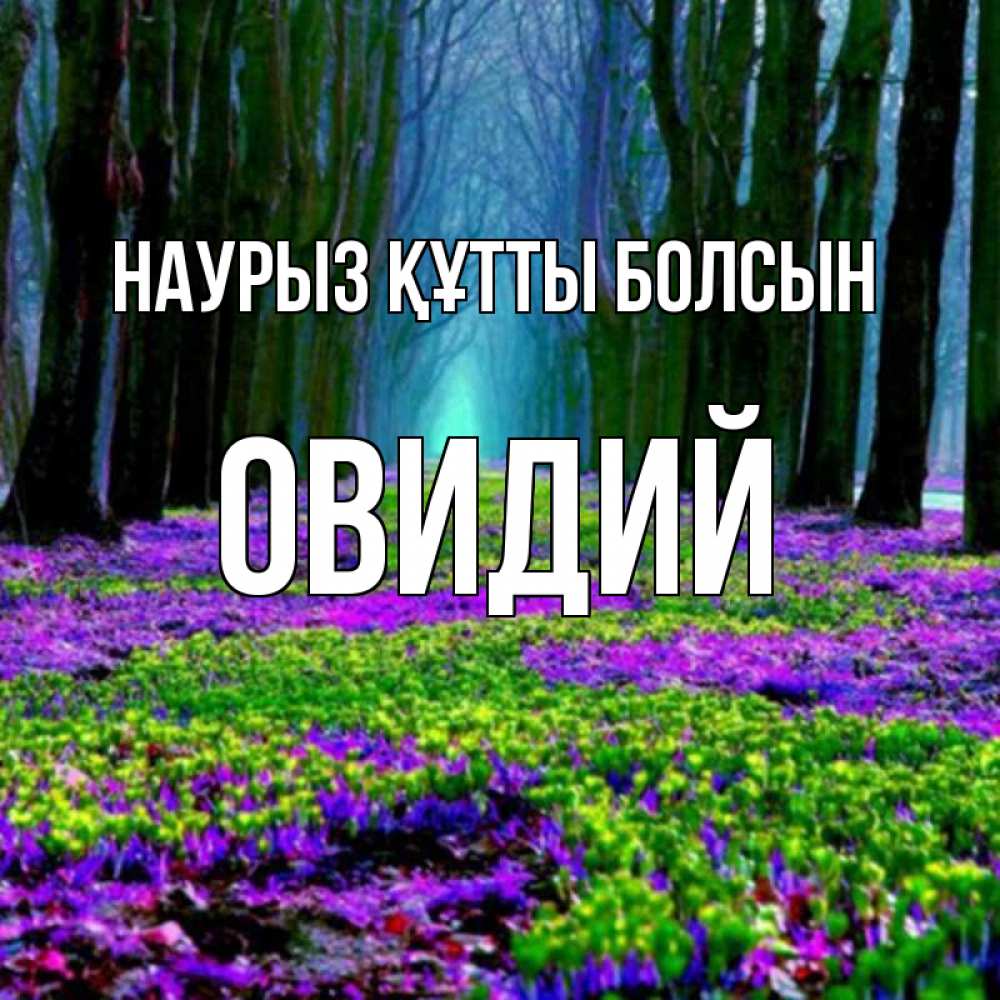 Күн сайын ашық хат с именем, Овидий Наурыз құтты болсын фиолетовые цветы в лесу 1 Онлайн тегін жүктеп алу тілектері бар керемет карта 