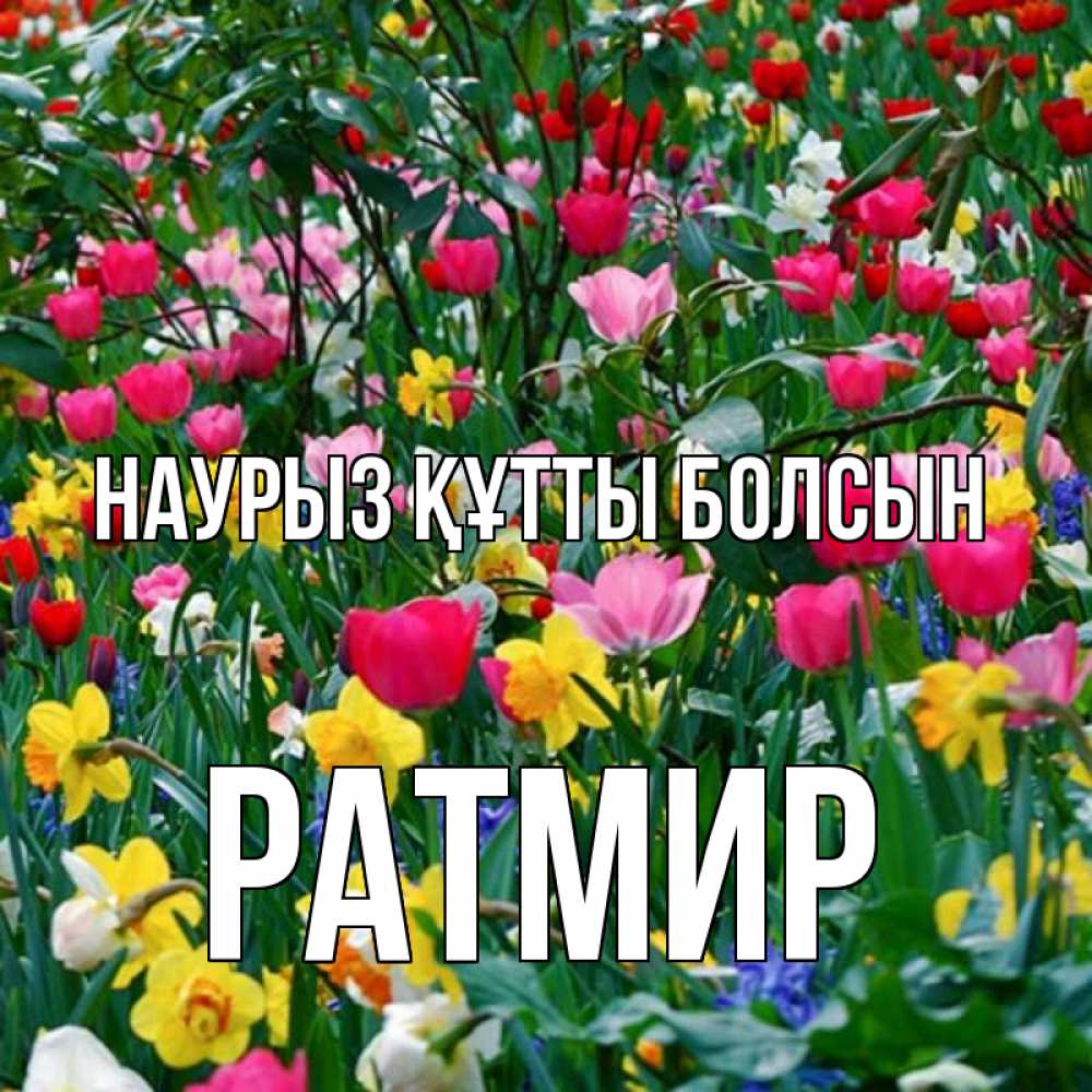 Күн сайын ашық хат с именем, Ратмир Наурыз құтты болсын с наурызом поздравления для женщины Онлайн тегін жүктеп алу тілектері бар керемет карта 