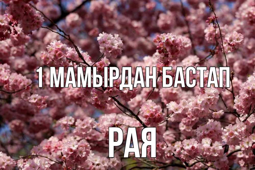 Күн сайын ашық хат с именем, Рая 1 мамырдан бастап С 1 мая Онлайн тегін жүктеп алу тілектері бар керемет карта 