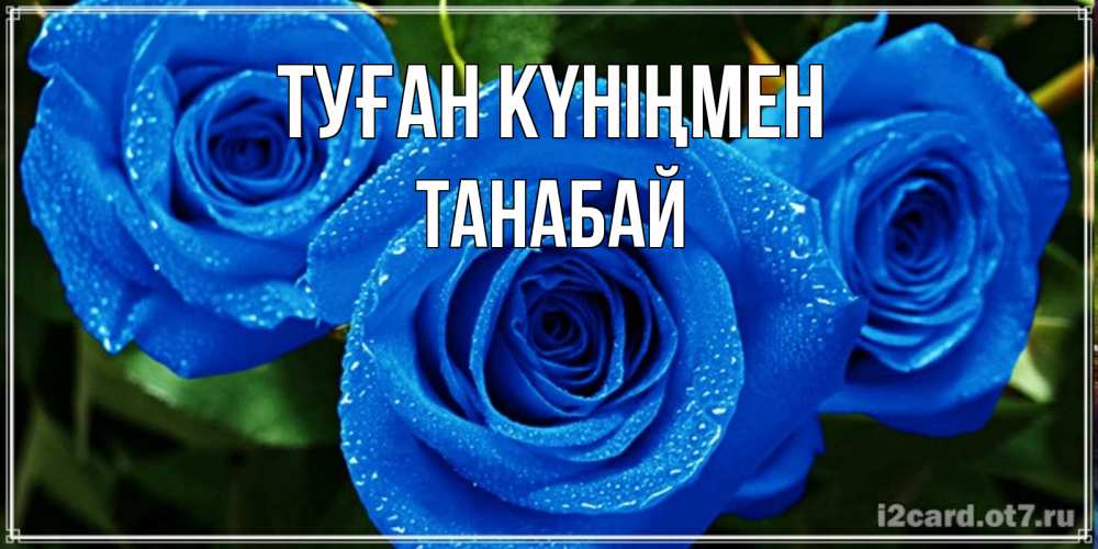 Күн сайын ашық хат с именем, ТАНАБАЙ Туған күніңмен розы с синим цветом Онлайн тегін жүктеп алу тілектері бар керемет карта 