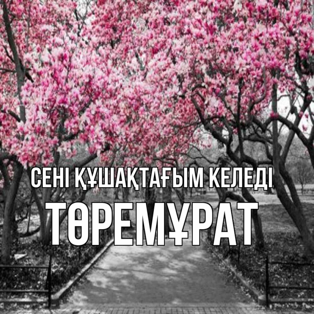 Күн сайын ашық хат с именем, Төремұрат сені құшақтағым келеді обработанное фото Онлайн тегін жүктеп алу тілектері бар керемет карта 