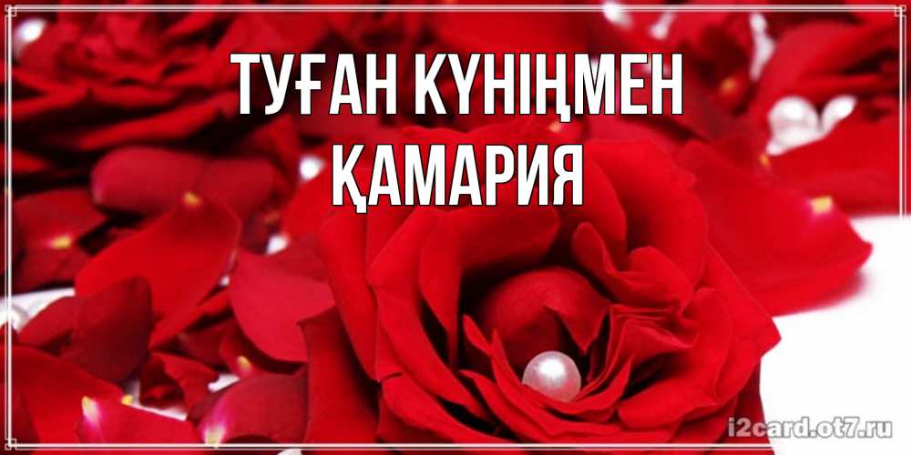 Күн сайын ашық хат с именем, ҚАМАРИЯ Туған күніңмен роза с жемчужиной на открытке для любимых Онлайн тегін жүктеп алу тілектері бар керемет карта 