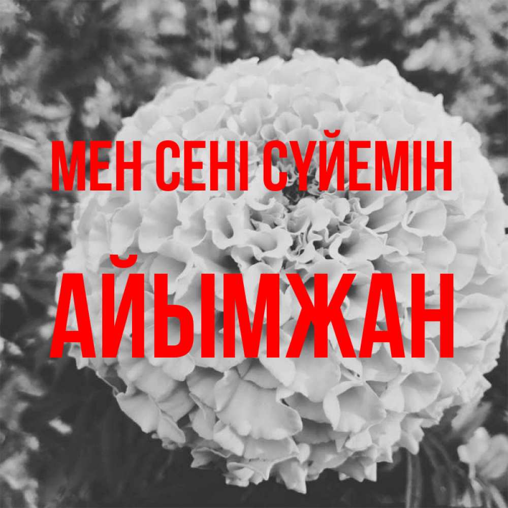 Күн сайын ашық хат с именем, АЙЫМЖАН Мен сені сүйемін подпись Онлайн тегін жүктеп алу тілектері бар керемет карта 