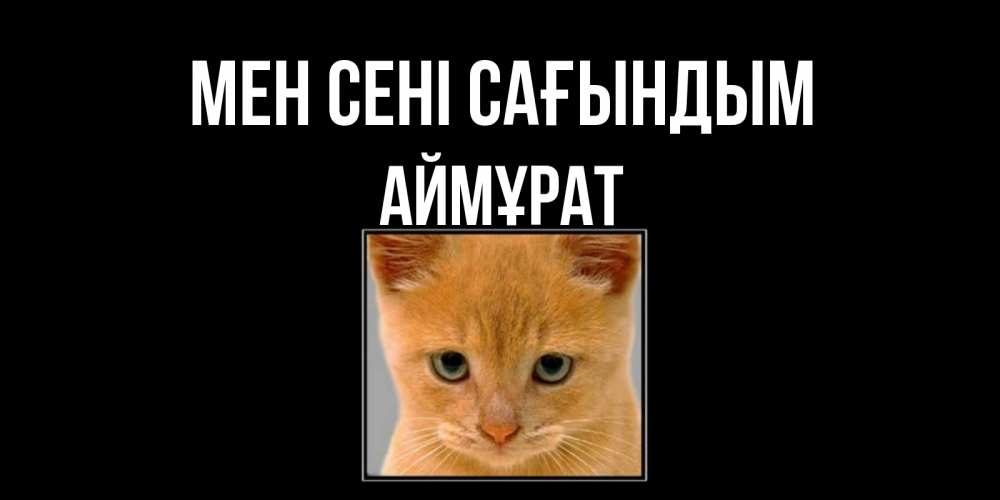 Күн сайын ашық хат с именем, Аймұрат Мен сені сағындым открытки рыжий котенок скучает по тебе Онлайн тегін жүктеп алу тілектері бар керемет карта 