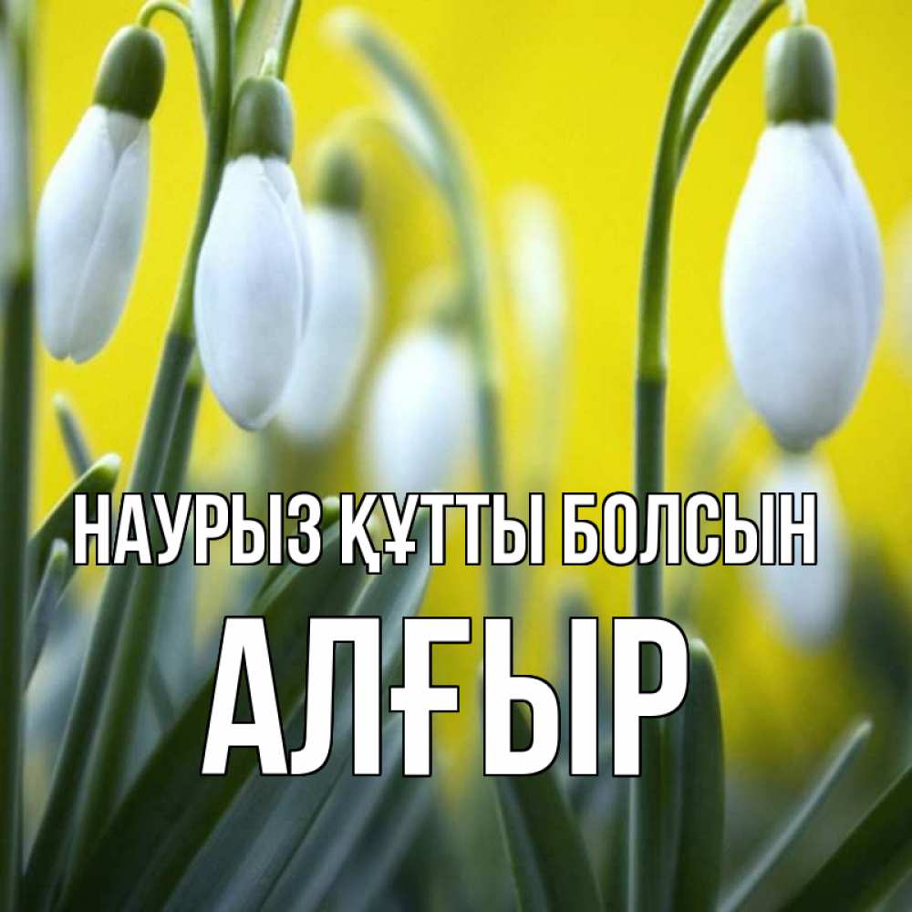 Күн сайын ашық хат с именем, Алғыр Наурыз құтты болсын весенние цветы Онлайн тегін жүктеп алу тілектері бар керемет карта 