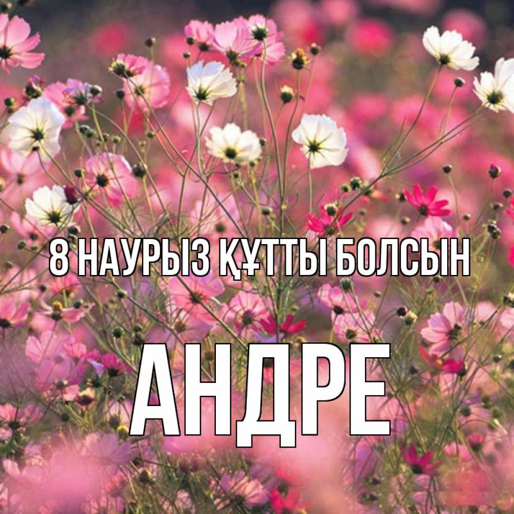 Күн сайын ашық хат с именем, Андре 8 наурыз құтты болсын красиво 1 Онлайн тегін жүктеп алу тілектері бар керемет карта 