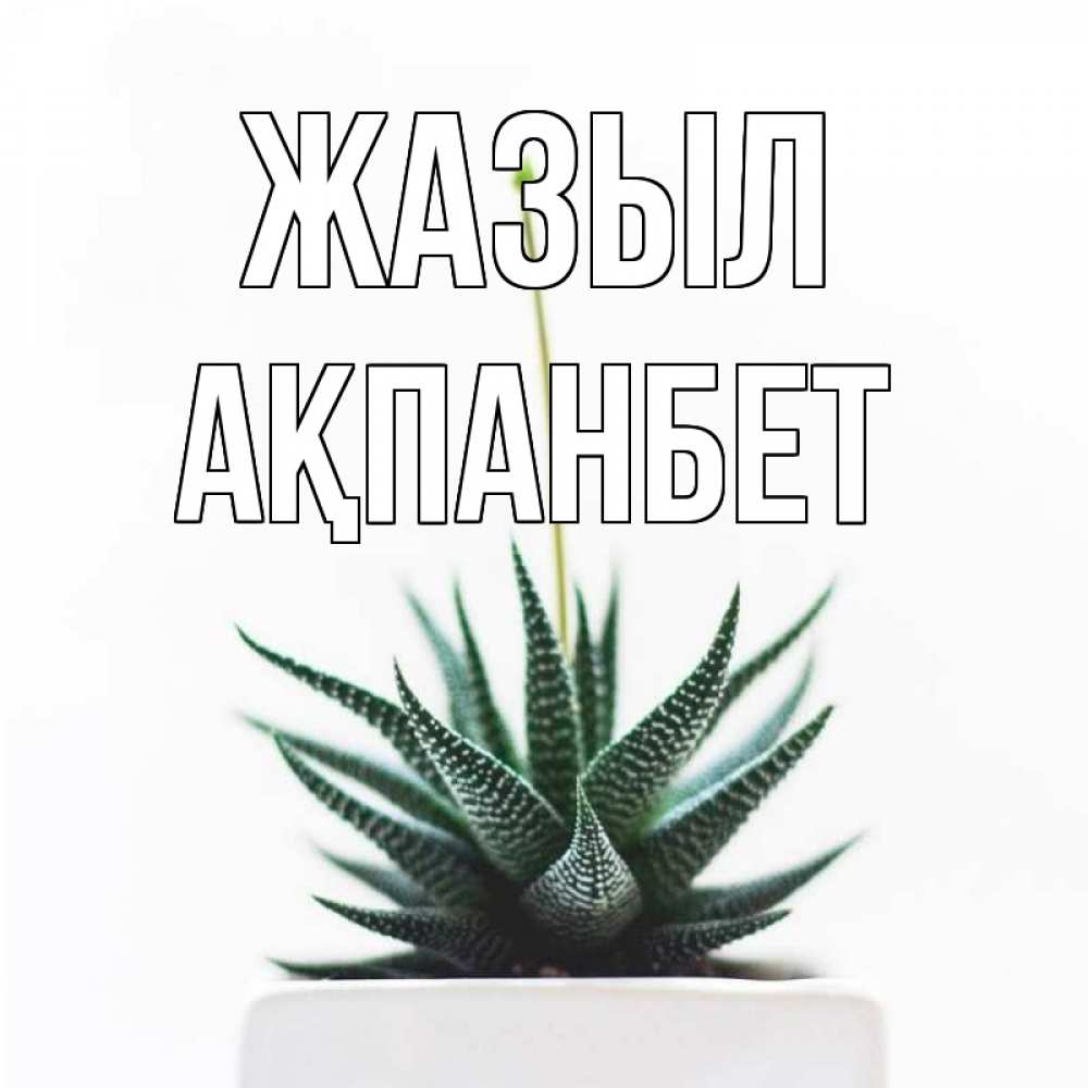 Күн сайын ашық хат с именем, Ақпанбет Жазыл короче это непонятная колючка Онлайн тегін жүктеп алу тілектері бар керемет карта 