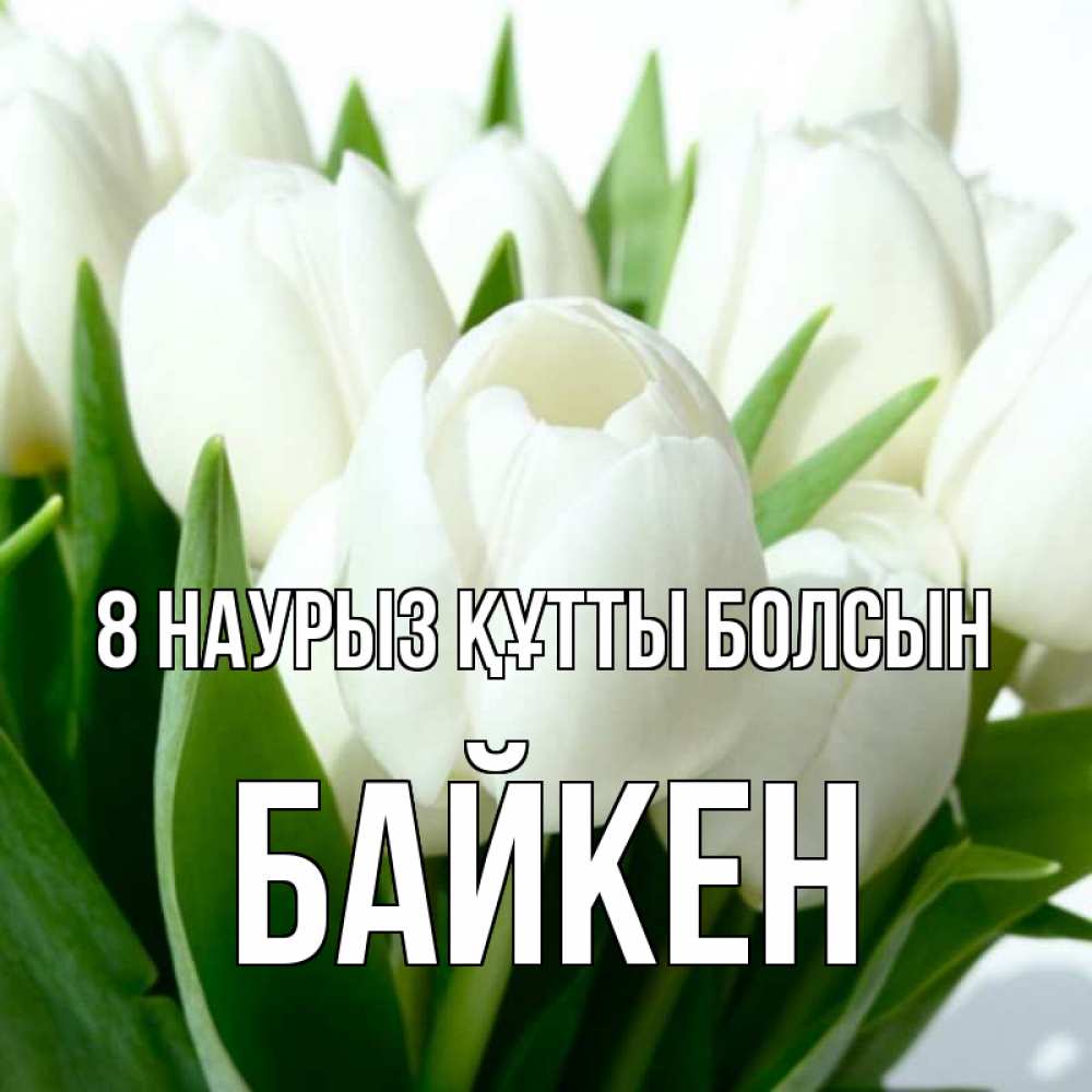 Күн сайын ашық хат с именем, Байкен 8 наурыз құтты болсын цветы Онлайн тегін жүктеп алу тілектері бар керемет карта 