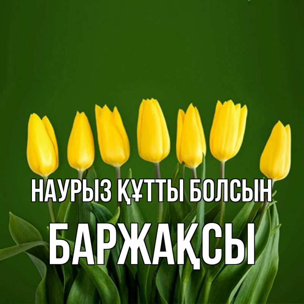 Күн сайын ашық хат с именем, Баржақсы Наурыз құтты болсын желтого цвета 3 Онлайн тегін жүктеп алу тілектері бар керемет карта 