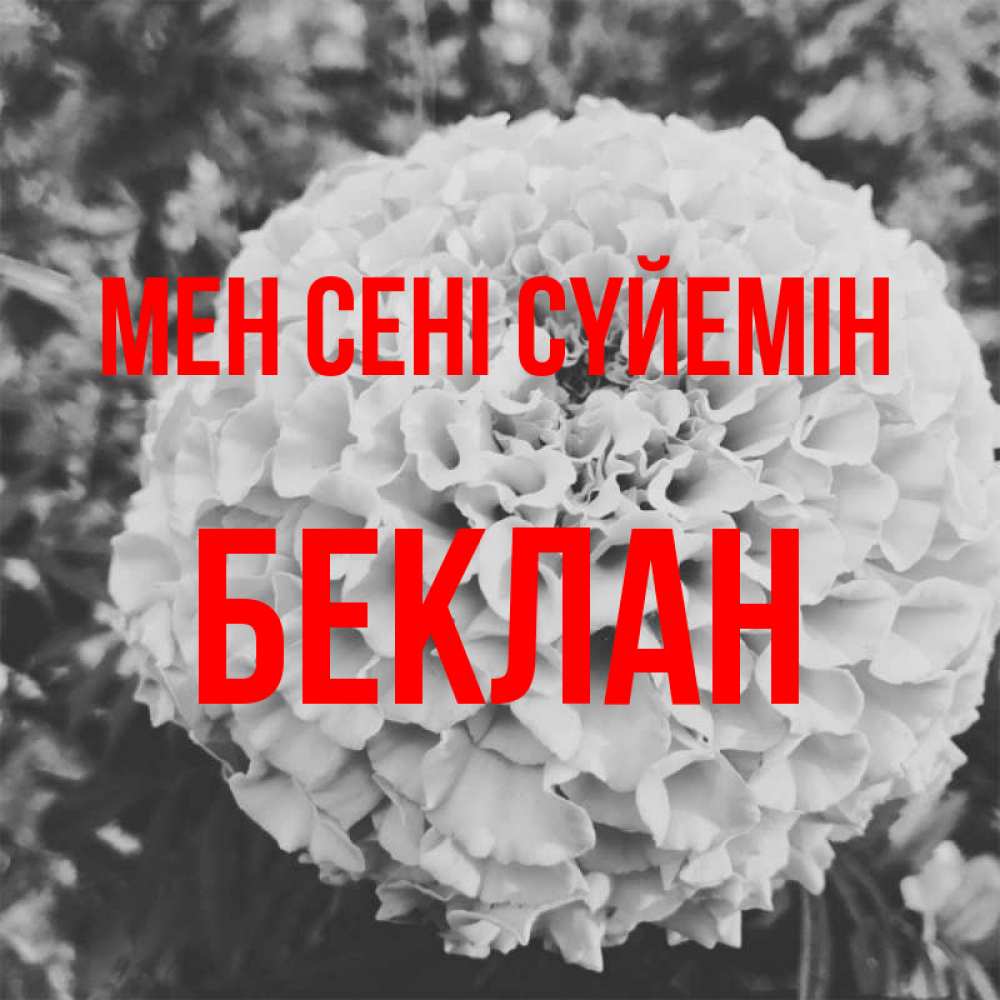 Күн сайын ашық хат с именем, Беклан Мен сені сүйемін подпись Онлайн тегін жүктеп алу тілектері бар керемет карта 