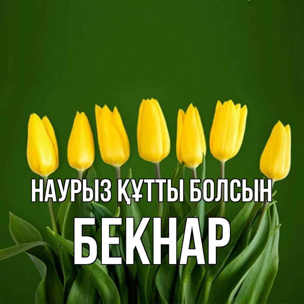 Күн сайын ашық хат с именем, Бекнар Наурыз құтты болсын желтого цвета 3 Онлайн тегін жүктеп алу тілектері бар керемет карта 