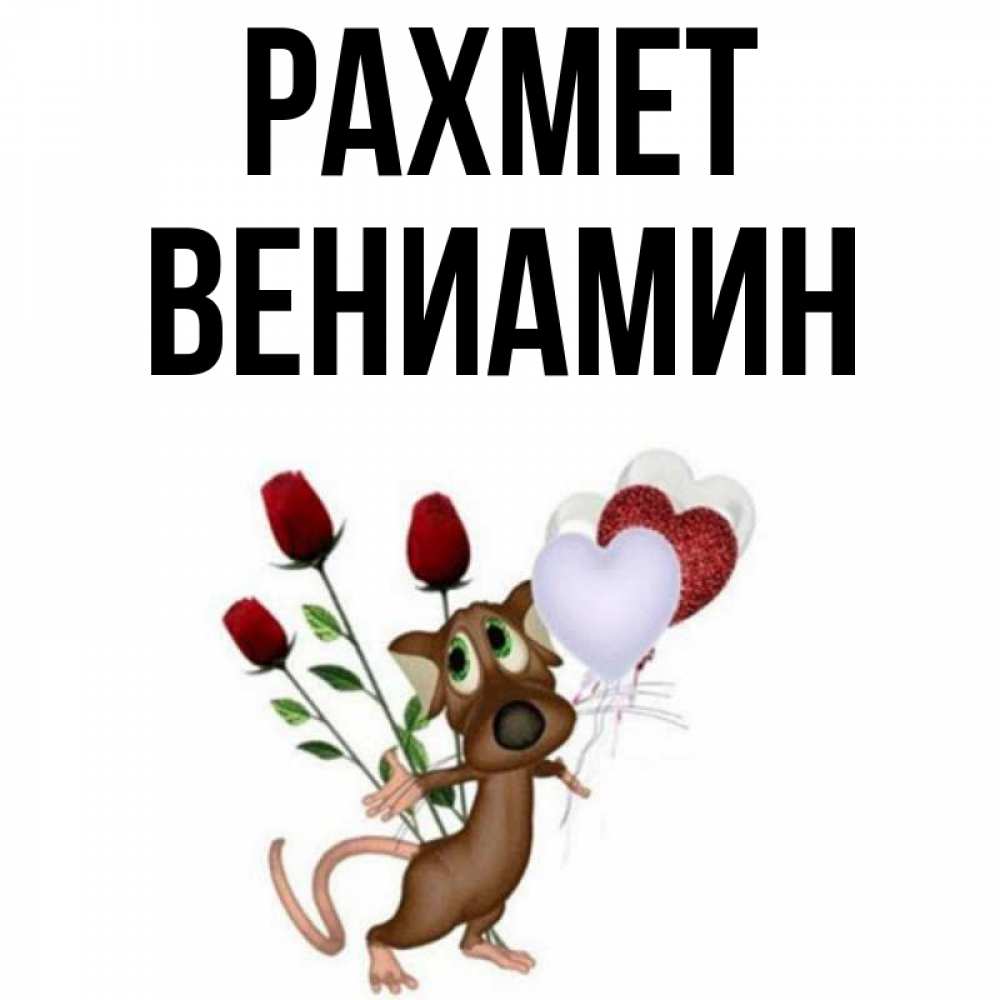 Күн сайын ашық хат с именем, Вениамин рахмет песик с шариками в форме сердец Онлайн тегін жүктеп алу тілектері бар керемет карта 
