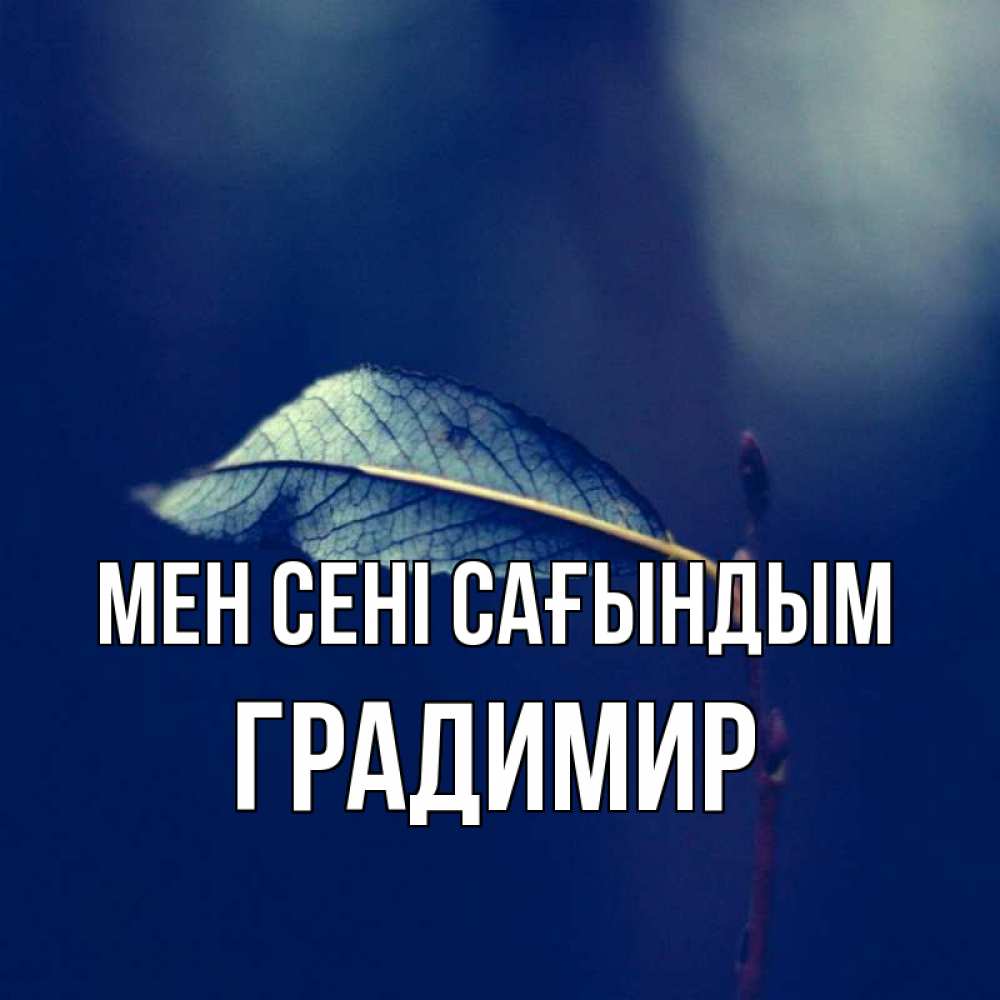 Күн сайын ашық хат с именем, Градимир Мен сені сағындым одна ветка 1 Онлайн тегін жүктеп алу тілектері бар керемет карта 