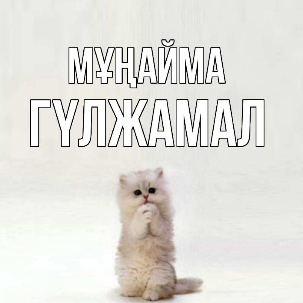 Күн сайын ашық хат с именем, ГҮЛЖАМАЛ Мұңайма грустный кот Онлайн тегін жүктеп алу тілектері бар керемет карта 