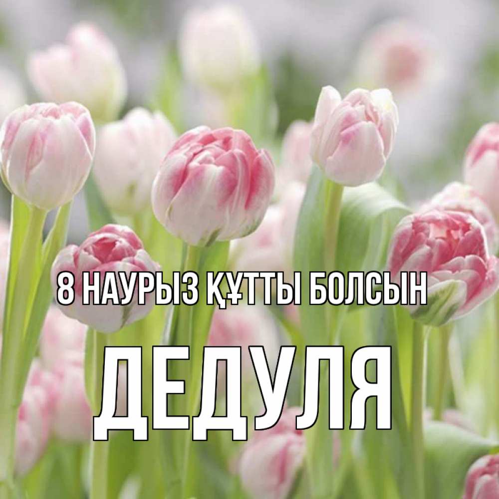 Күн сайын ашық хат с именем, Дедуля 8 наурыз құтты болсын цветы Онлайн тегін жүктеп алу тілектері бар керемет карта 