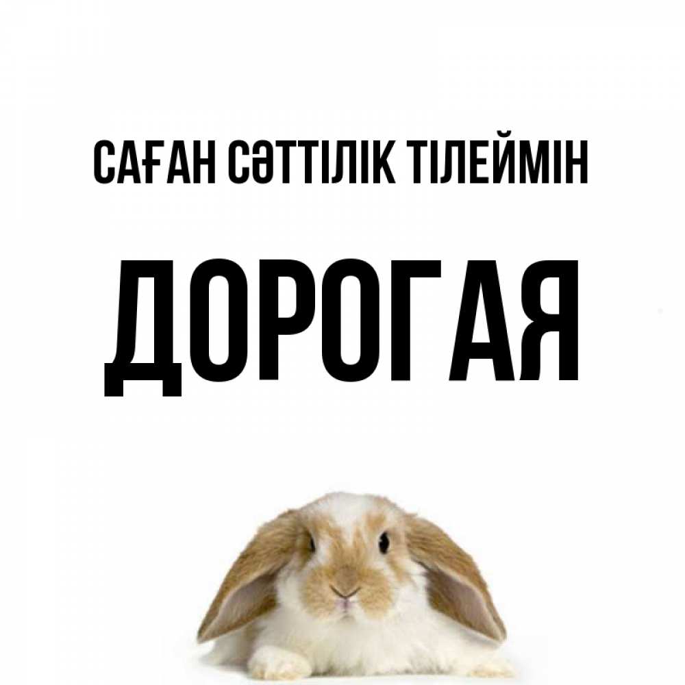 Күн сайын ашық хат с именем, Дорогая Саған сәттілік тілеймін открытки с произвольным текстом который можно вставить в открытку и создать ее самостоятельно бесплатно онлайн Онлайн тегін жүктеп алу тілектері бар керемет карта 