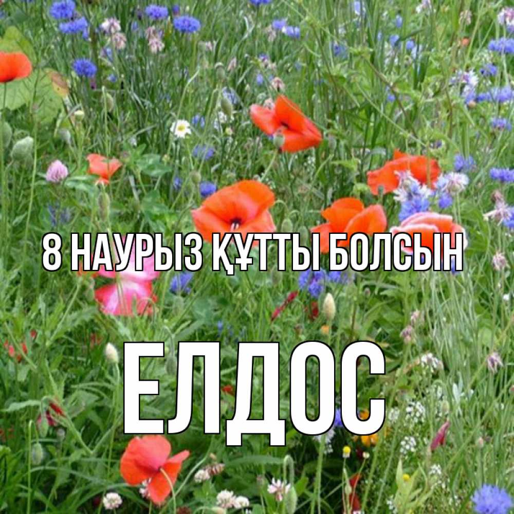 Күн сайын ашық хат с именем, Елдос 8 наурыз құтты болсын международный женский день 4 Онлайн тегін жүктеп алу тілектері бар керемет карта 