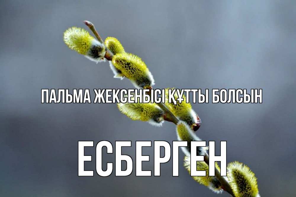 Күн сайын ашық хат с именем, Есберген Пальма жексенбісі құтты болсын верба Онлайн тегін жүктеп алу тілектері бар керемет карта 