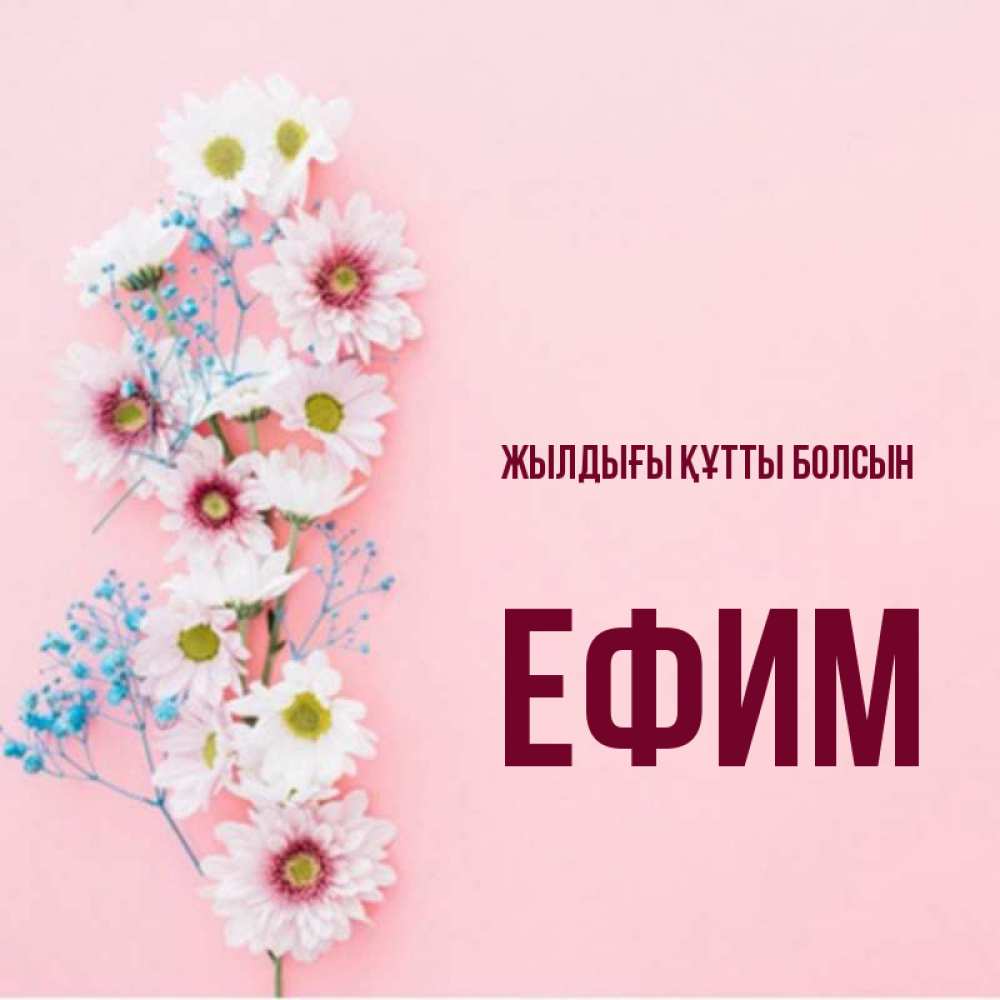 Күн сайын ашық хат с именем, Ефим Жылдығы құтты болсын Родная моя с днем рождения тебя картинка с цветами белыми и голубыми Онлайн тегін жүктеп алу тілектері бар керемет карта 