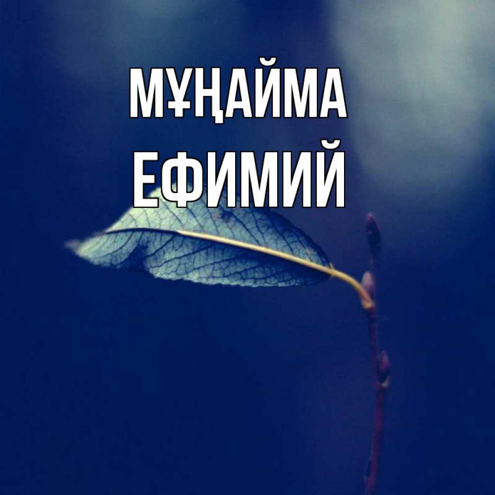 Күн сайын ашық хат с именем, Ефимий Мұңайма растение Онлайн тегін жүктеп алу тілектері бар керемет карта 