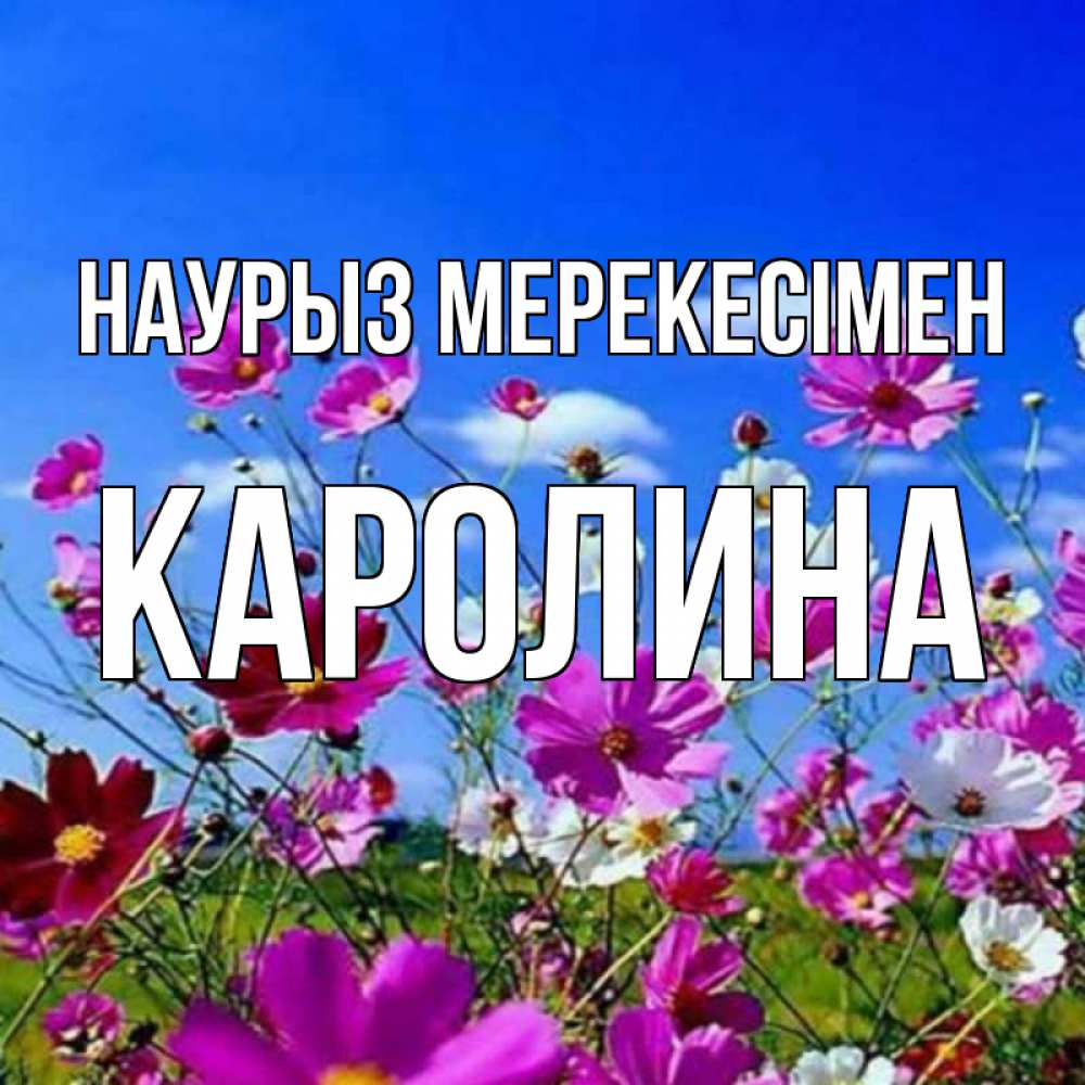 Күн сайын ашық хат с именем, Каролина Наурыз мерекесімен цветы Онлайн тегін жүктеп алу тілектері бар керемет карта 