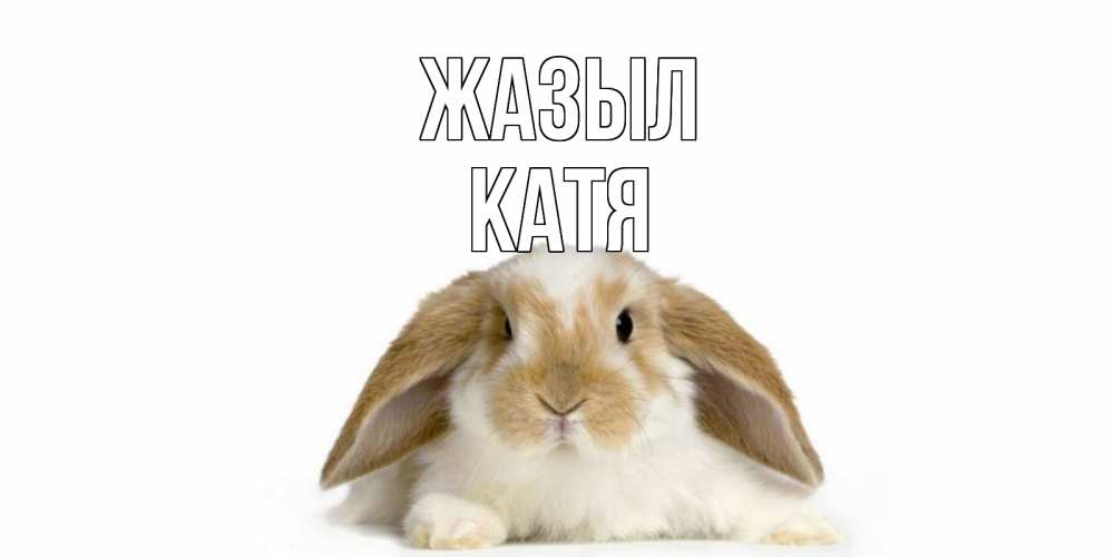 Күн сайын ашық хат с именем, Катя Жазыл вислоухий кролик белого и коричневого цвета Онлайн тегін жүктеп алу тілектері бар керемет карта 