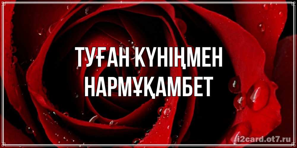 Күн сайын ашық хат с именем, НАРМҰҚАМБЕТ Туған күніңмен крупная бордовая роза Онлайн тегін жүктеп алу тілектері бар керемет карта 