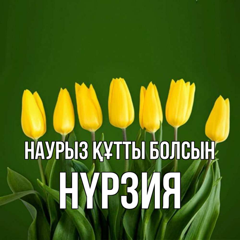 Күн сайын ашық хат с именем, НҮРЗИЯ Наурыз құтты болсын желтого цвета 3 Онлайн тегін жүктеп алу тілектері бар керемет карта 