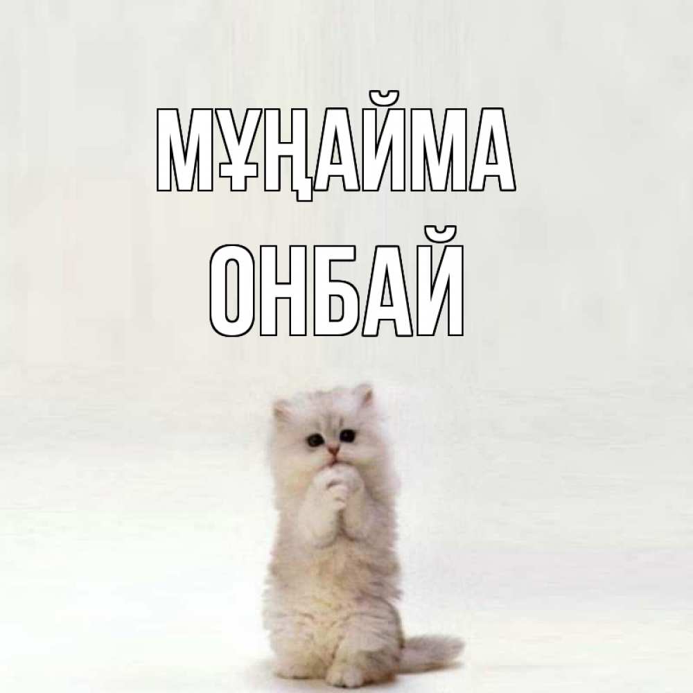 Күн сайын ашық хат с именем, ОНБАЙ Мұңайма грустный кот Онлайн тегін жүктеп алу тілектері бар керемет карта 
