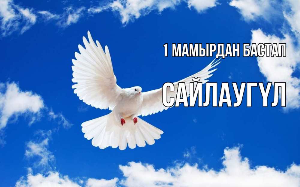 Күн сайын ашық хат с именем, САЙЛАУГҮЛ 1 мамырдан бастап С 1 мая 1 Онлайн тегін жүктеп алу тілектері бар керемет карта 