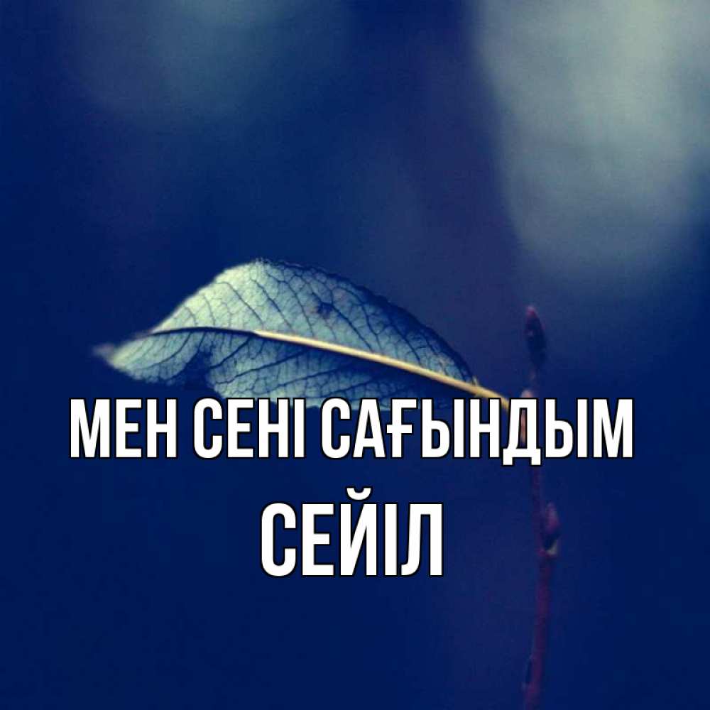 Күн сайын ашық хат с именем, СЕЙІЛ Мен сені сағындым одна ветка 1 Онлайн тегін жүктеп алу тілектері бар керемет карта 