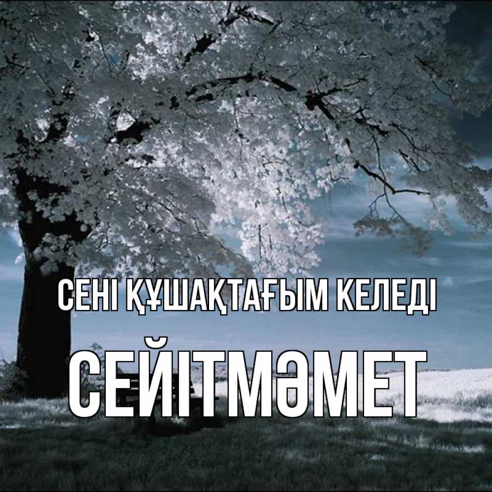 Күн сайын ашық хат с именем, СЕЙІТМӘМЕТ сені құшақтағым келеді дерево Онлайн тегін жүктеп алу тілектері бар керемет карта 