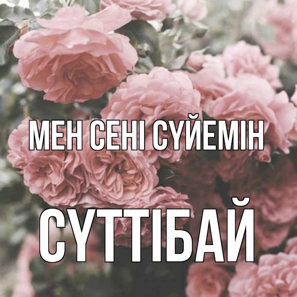 Күн сайын ашық хат с именем, СҮТТІБАЙ Мен сені сүйемін розы 3 Онлайн тегін жүктеп алу тілектері бар керемет карта 